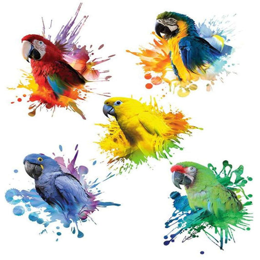 5 Parrot Multi Color Birds Temporary Body Tattoo Waterproof For Girls Men Women - Temporarytattoowala