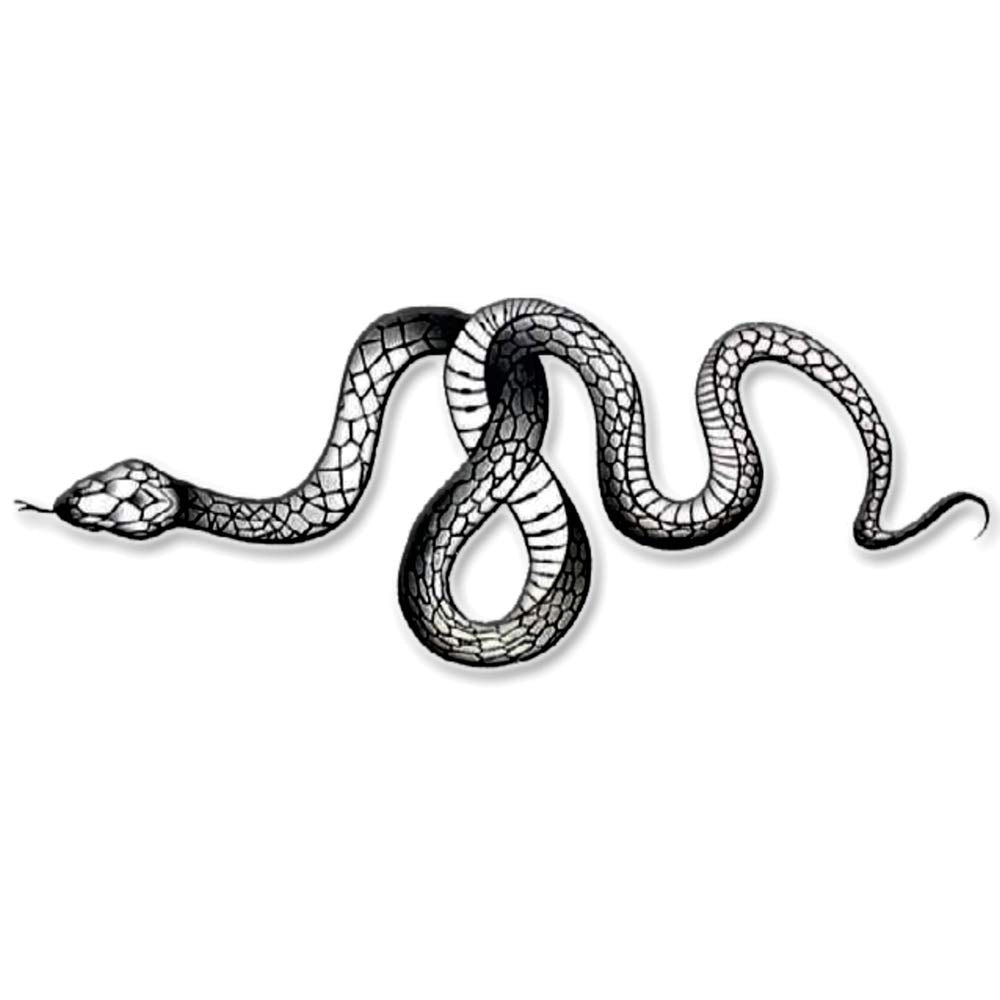 Snake Tattoo Temporary Body Waterproof Boy and Girl Tattoo - Temporarytattoowala