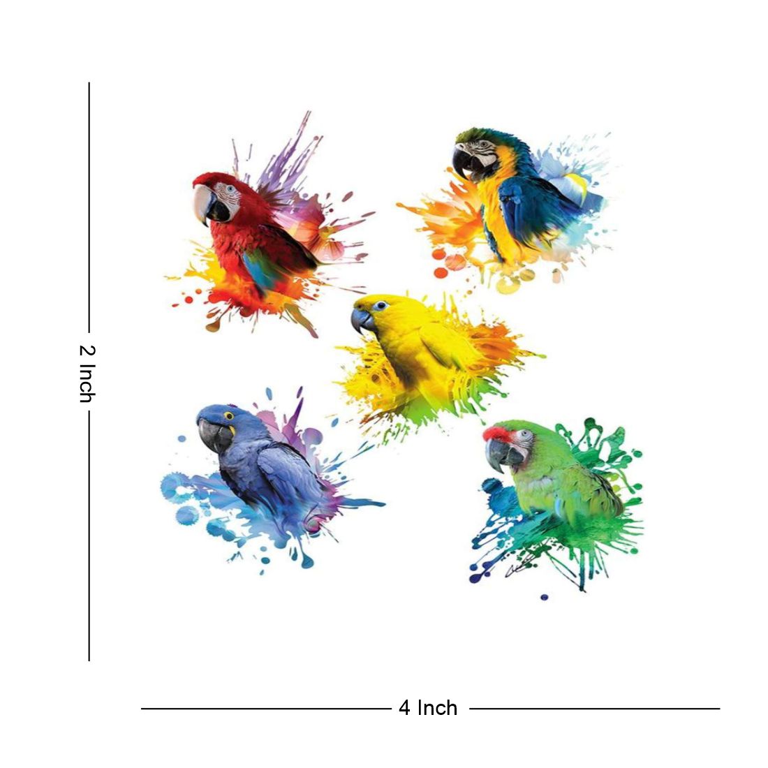 5 Parrot Multi Color Birds Temporary Body Tattoo Waterproof For Girls Men Women - Temporarytattoowala
