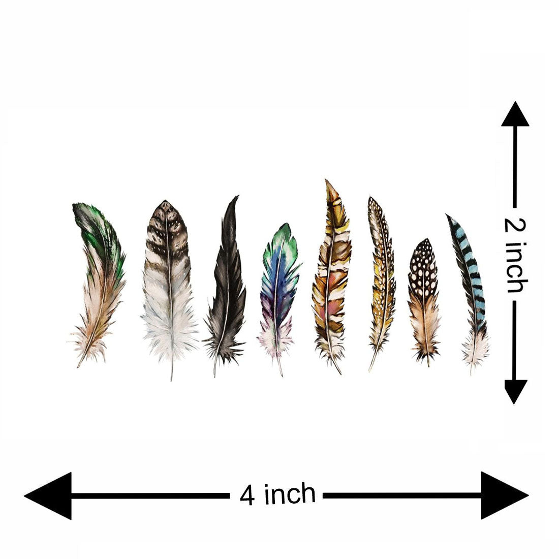 Temporary Tattoowala Colourful Feathers 8 Design Temporary Tattoo for Men and Women ,Girl and Boy Waterproof Sticker