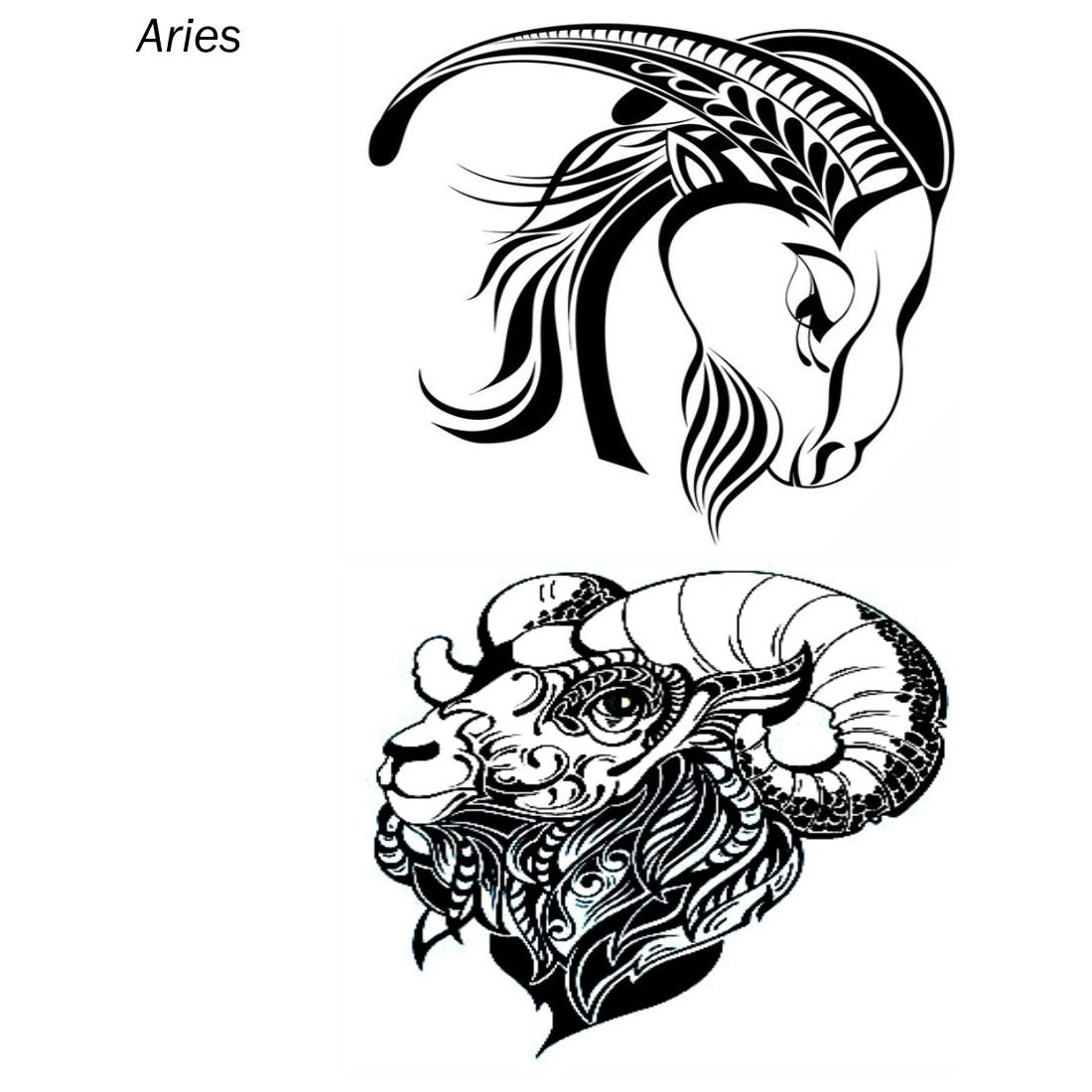 Aries Zodiac Sign Tattoo  horoscope Tattoo Waterproof Men and Women Temporary Body Tattoo - Temporarytattoowala